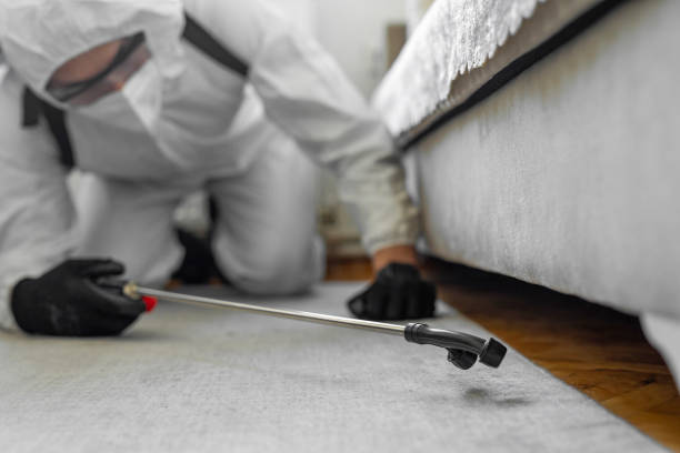 Professional Termite Control technician working in Waynesville, OH