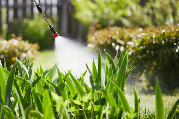 24/7 Emergency Termite Control experts in Waynesville, OH