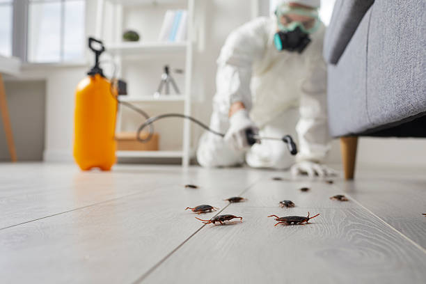 Trusted Fumigation Services service in Waynesville, OH - Nex Pest Control