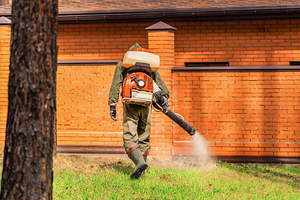 Trusted Bed Bug Control service in Waynesville, OH - Nex Pest Control
